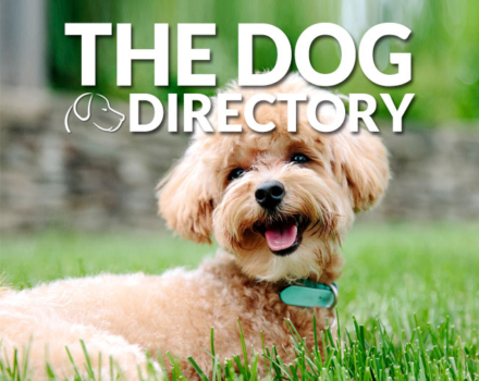 The Dog Directory advertising
