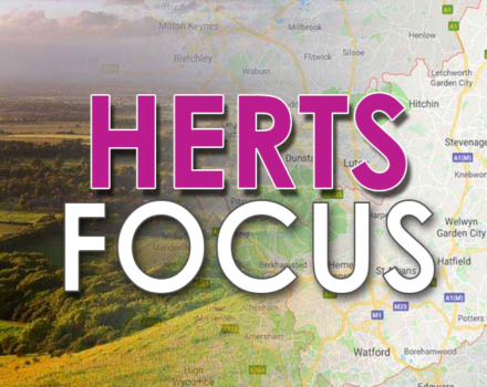 Herts Focus Directory advertising